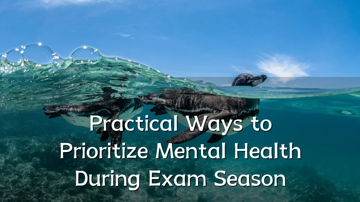 Practical Ways to Prioritize Mental Health During Exam Season