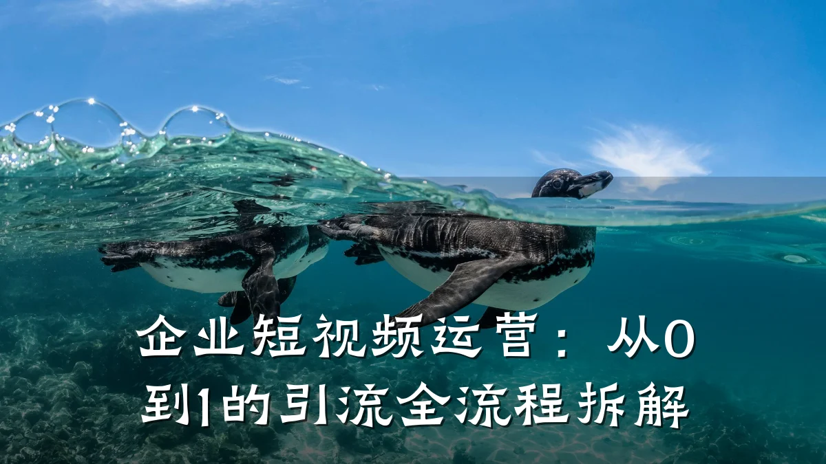 企业短视频运营:从0到1的引流全流程拆解