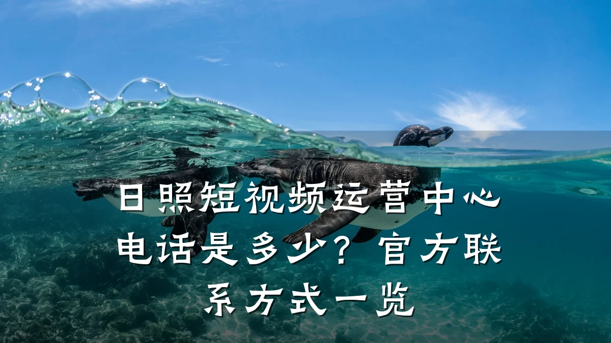 日照短视频运营中心电话是多少？官方联系方式一览