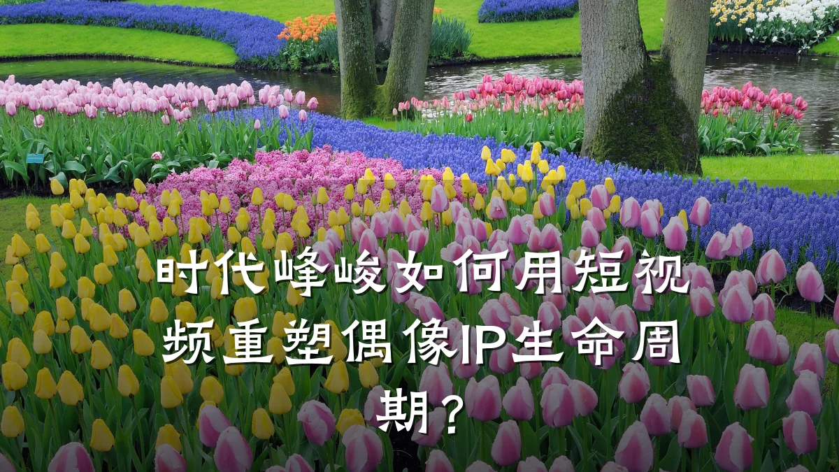 时代峰峻如何用短视频重塑偶像IP生命周期?