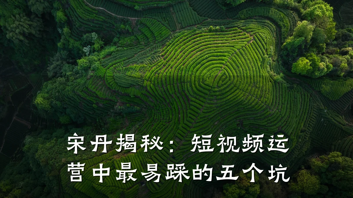 宋丹揭秘:短视频运营中最易踩的五个坑