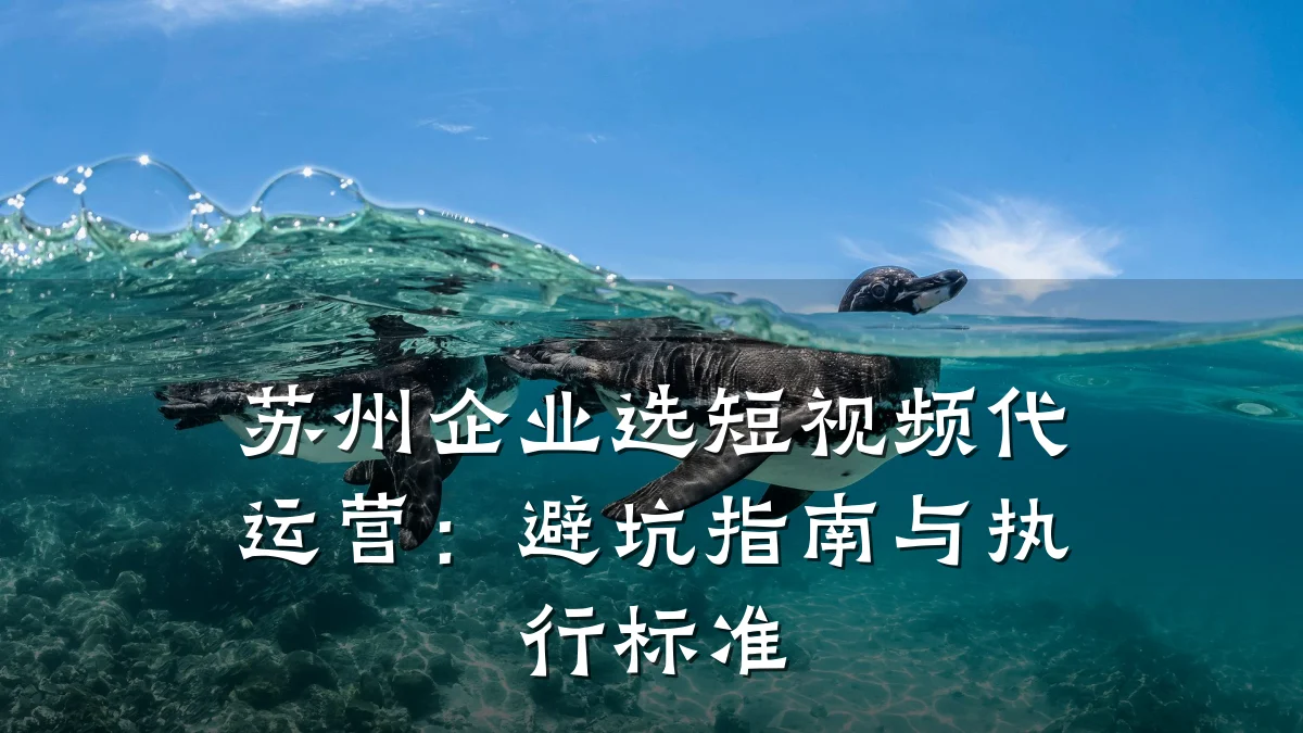 苏州企业选短视频代运营：避坑指南与执行标准