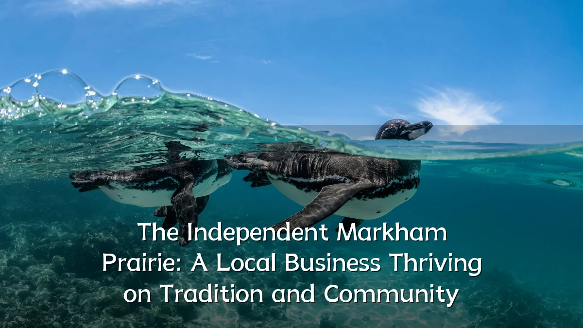 The Independent Markham Prairie: A Local Business Thriving on Tradition and Community