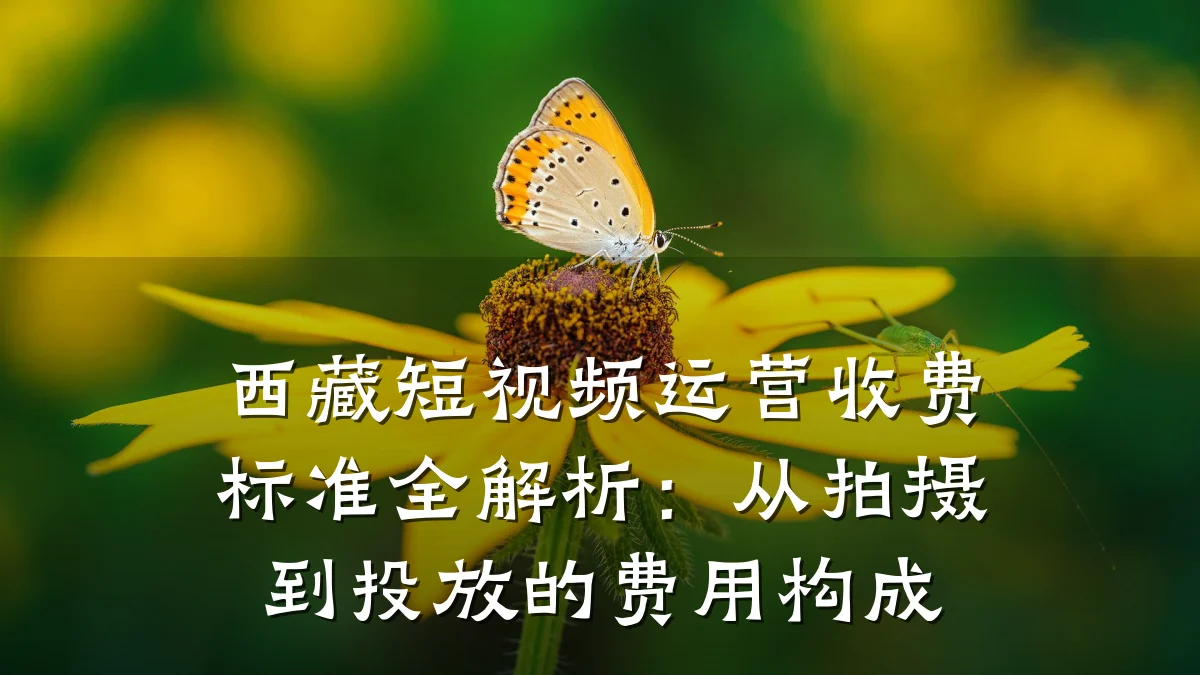 西藏短视频运营收费标准全解析:从拍摄到投放的费用构成