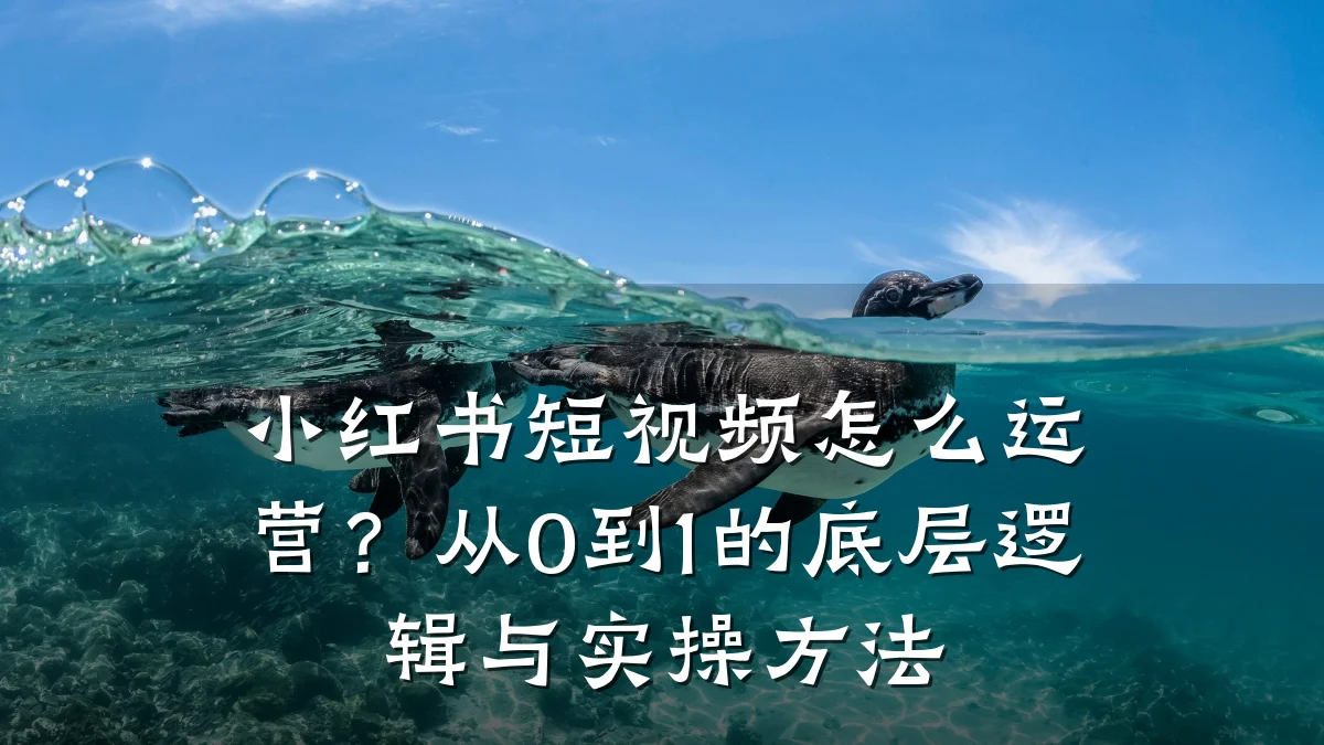 小红书短视频怎么运营?从0到1的底层逻辑与实操方法