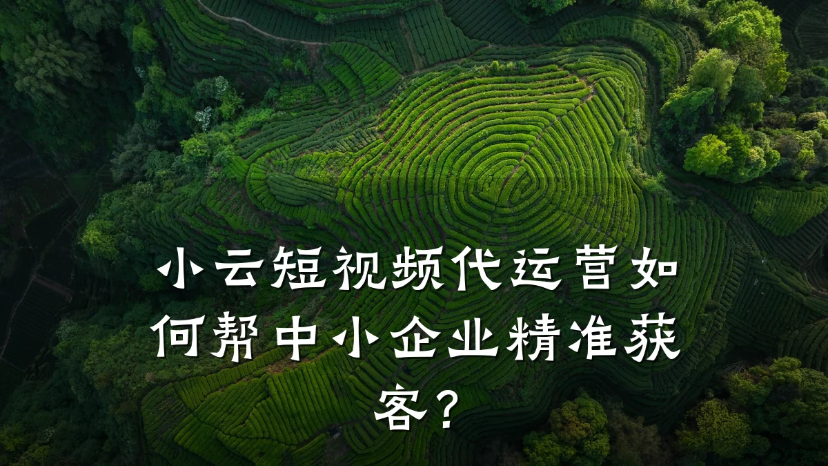 小云短视频代运营如何帮中小企业精准获客？