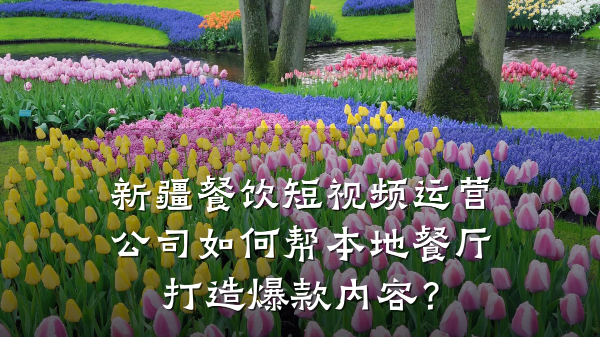 新疆餐饮短视频运营公司如何帮本地餐厅打造爆款内容?