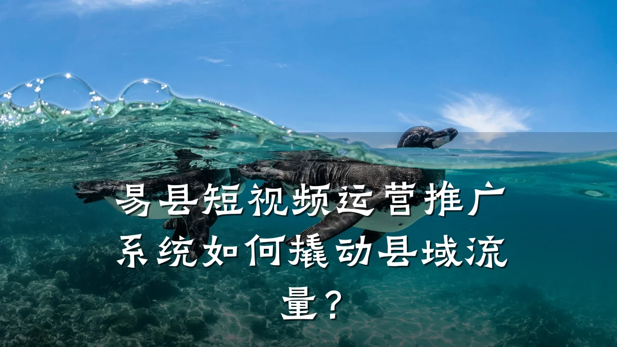 易县短视频运营推广系统如何撬动县域流量？