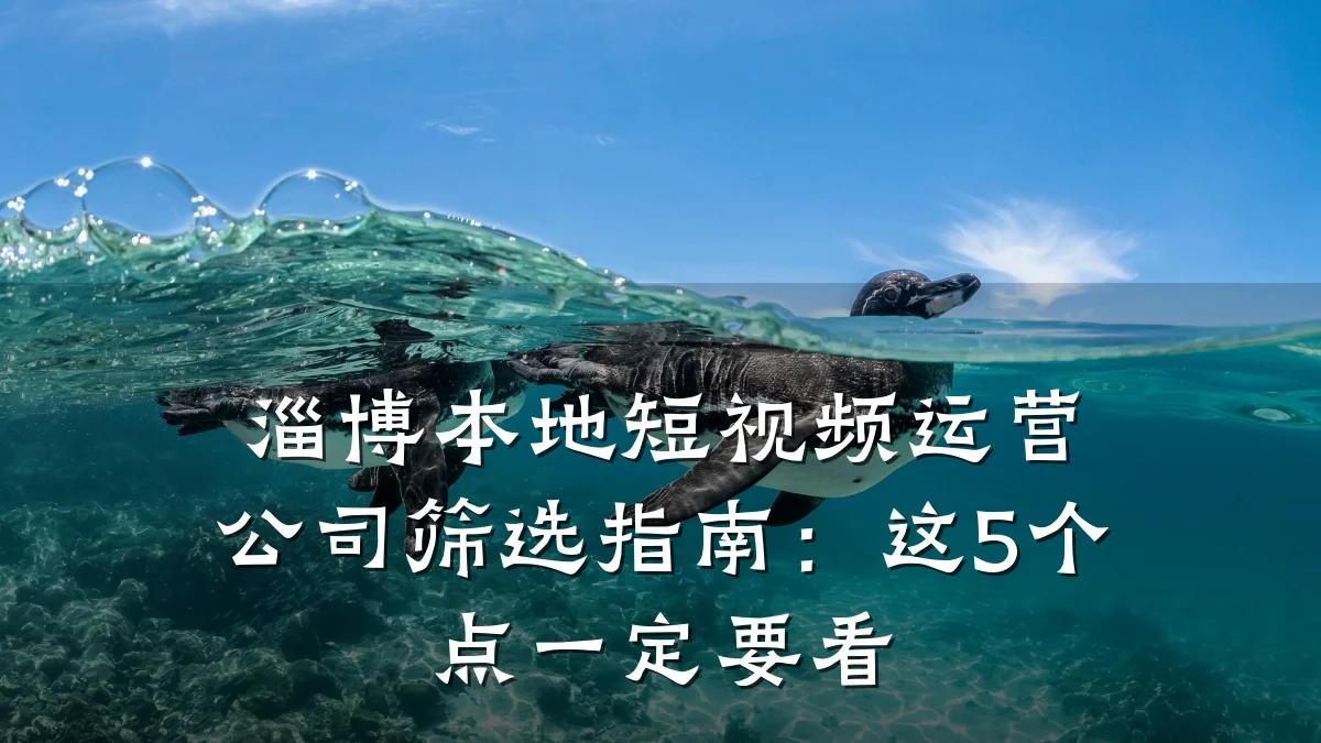 淄博本地短视频运营公司筛选指南:这5个点一定要看