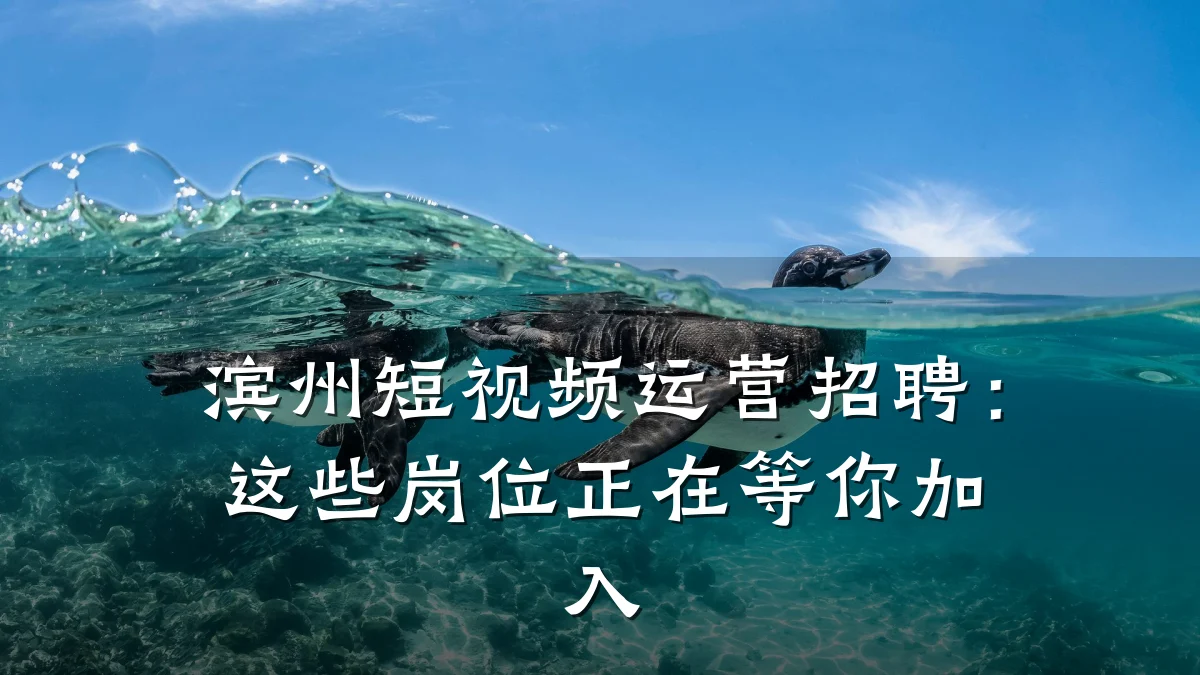 滨州短视频运营招聘:这些岗位正在等你加入