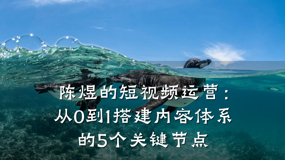 陈煜的短视频运营:从0到1搭建内容体系的5个关键节点