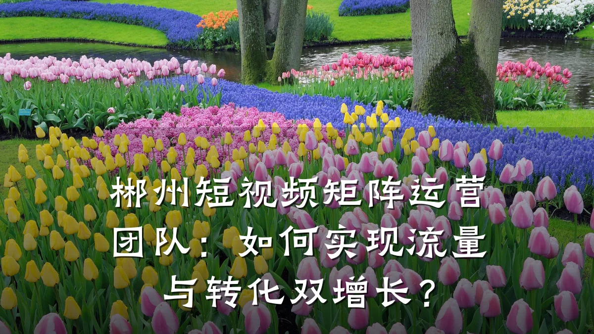 郴州短视频矩阵运营团队:如何实现流量与转化双增长?