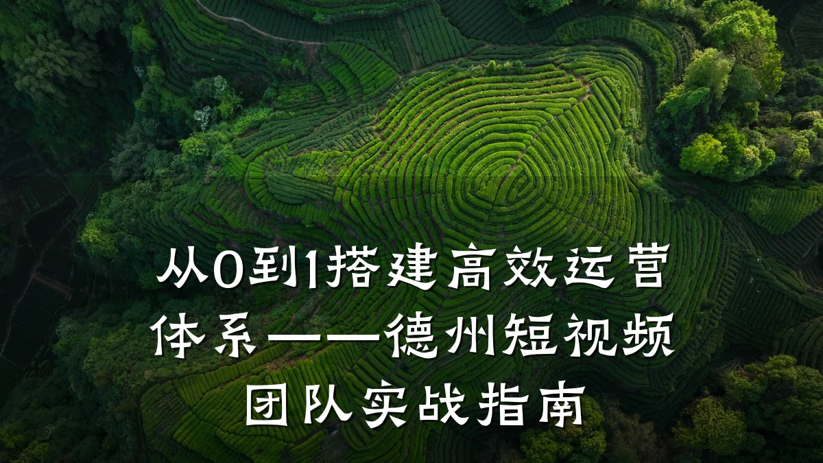 从0到1搭建高效运营体系——德州短视频团队实战指南