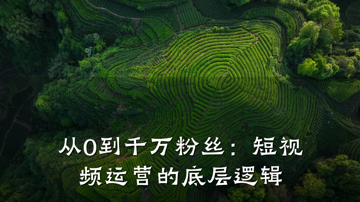 从0到千万粉丝:短视频运营的底层逻辑