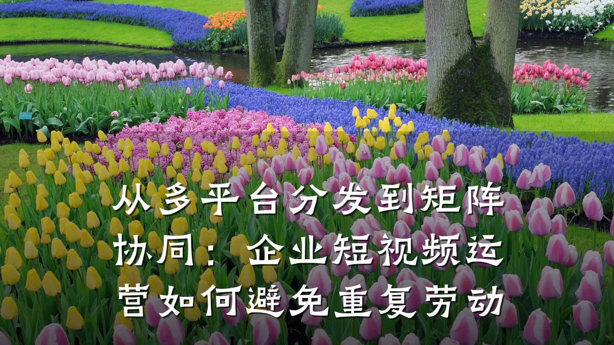 从多平台分发到矩阵协同:企业短视频运营如何避免重复劳动