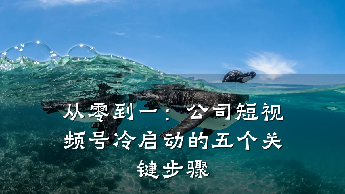 从零到一:公司短视频号冷启动的五个关键步骤