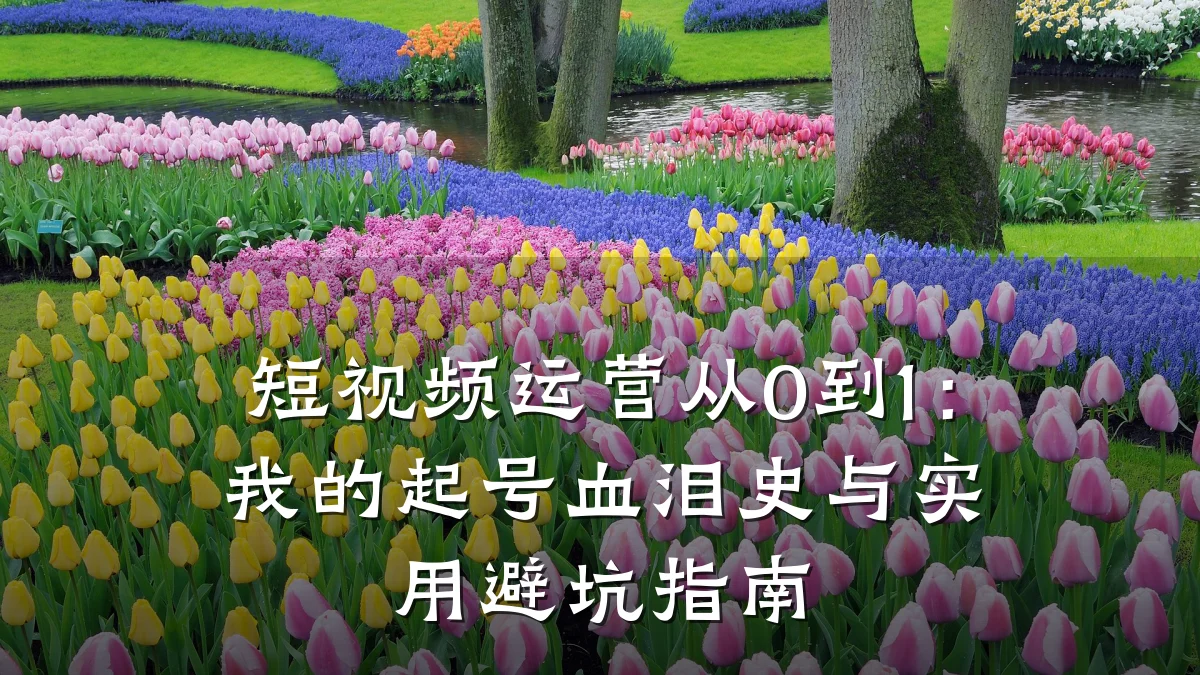 短视频运营从0到1:我的起号血泪史与实用避坑指南