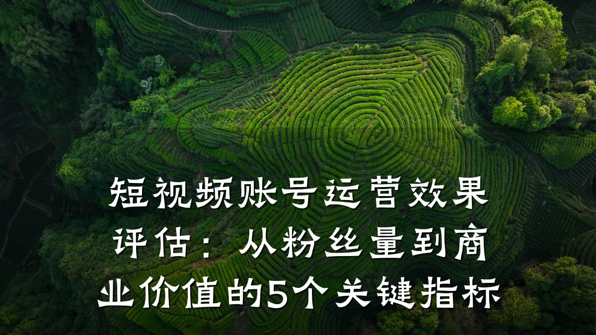短视频账号运营效果评估:从粉丝量到商业价值的5个关键指标