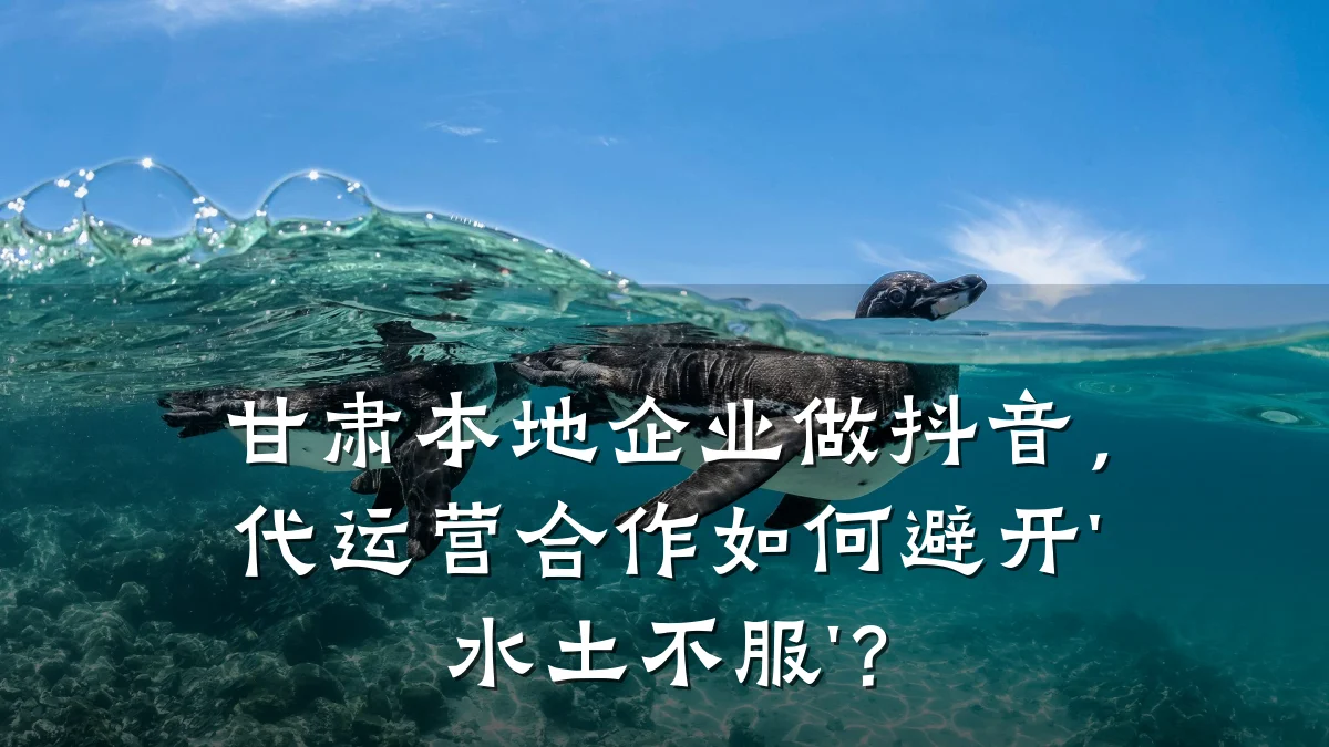 甘肃本地企业做抖音,代运营合作如何避开'水土不服'?