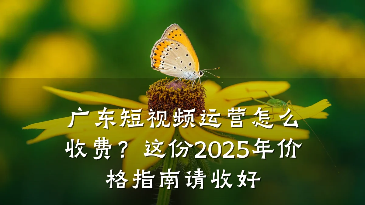 广东短视频运营怎么收费？这份2025年价格指南请收好
