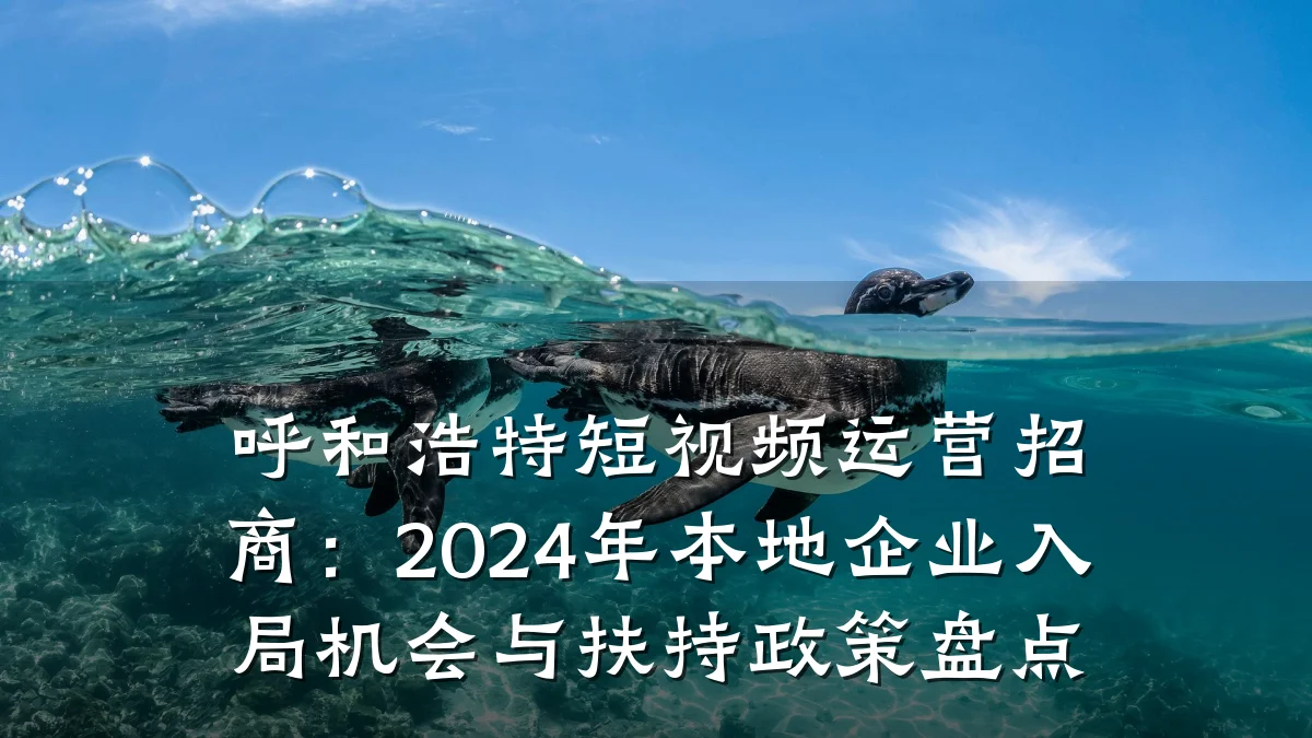 呼和浩特短视频运营招商：2024年本地企业入局机会与扶持政策盘点