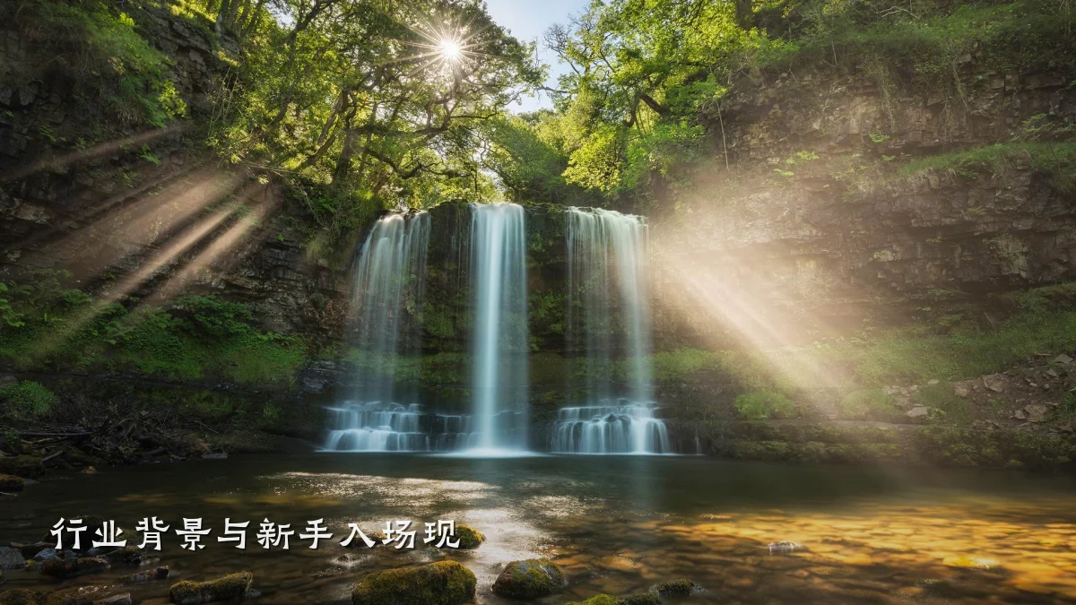 行业背景与新手入场现