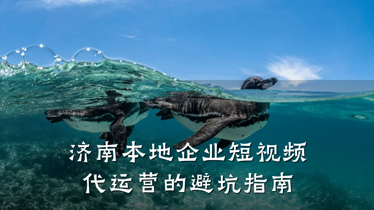 济南本地企业短视频代运营的避坑指南