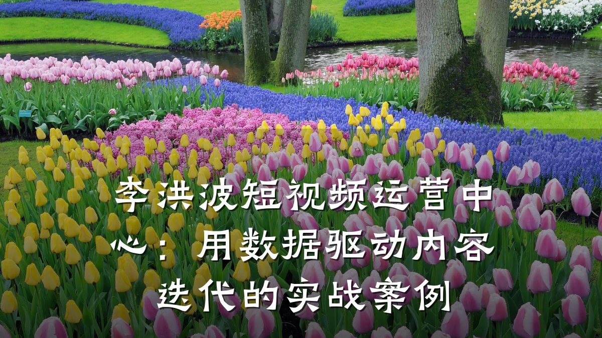 李洪波短视频运营中心:用数据驱动内容迭代的实战案例