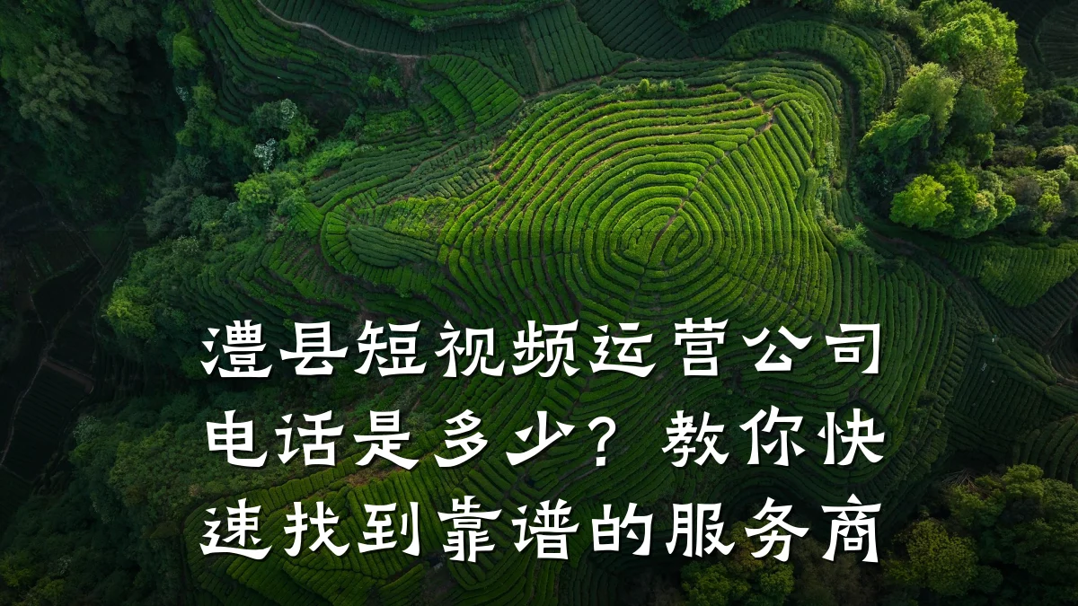 澧县短视频运营公司电话是多少?教你快速找到靠谱的服务商