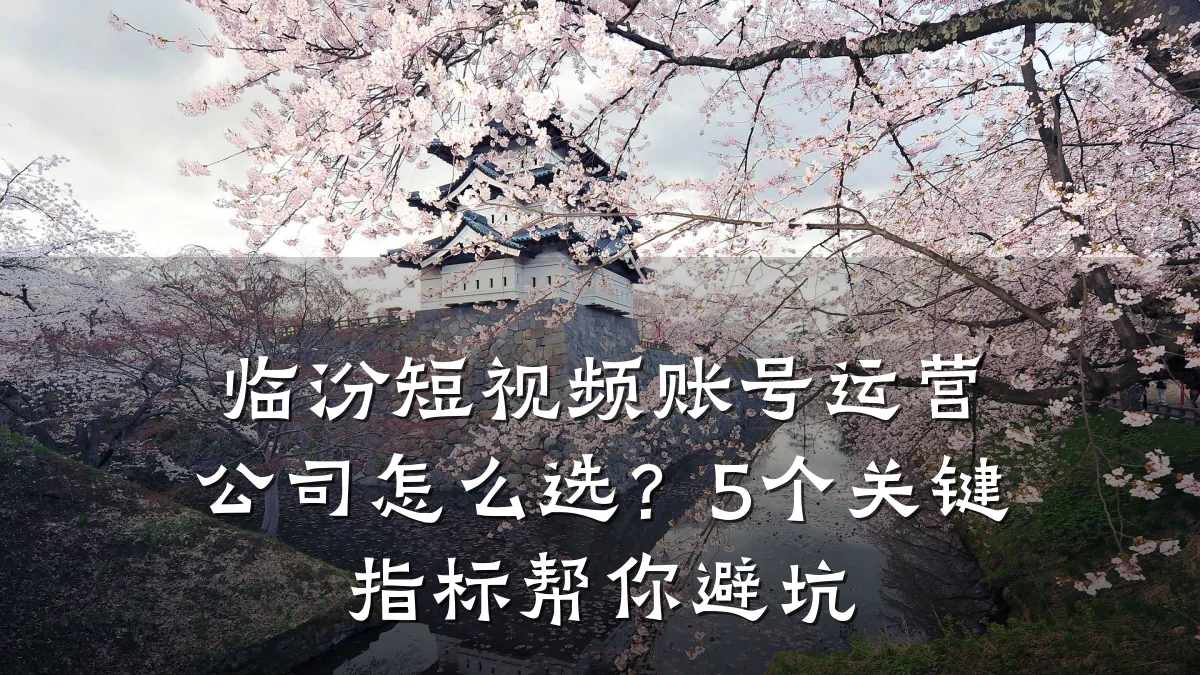 临汾短视频账号运营公司怎么选?5个关键指标帮你避坑