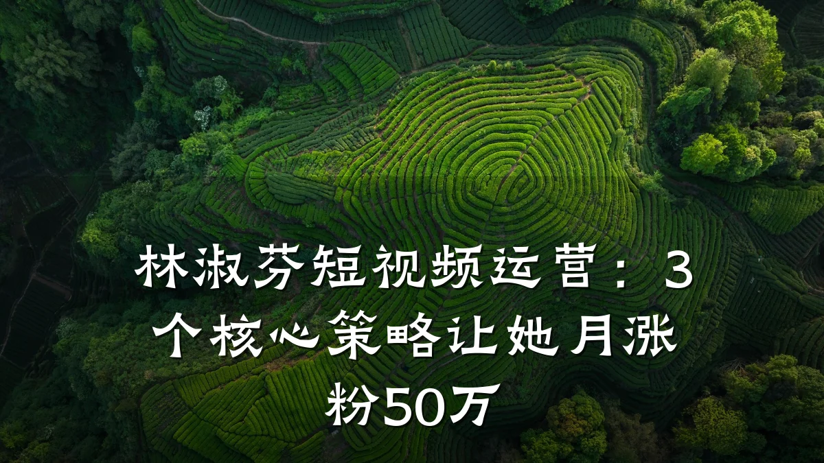 林淑芬短视频运营:3个核心策略让她月涨粉50万