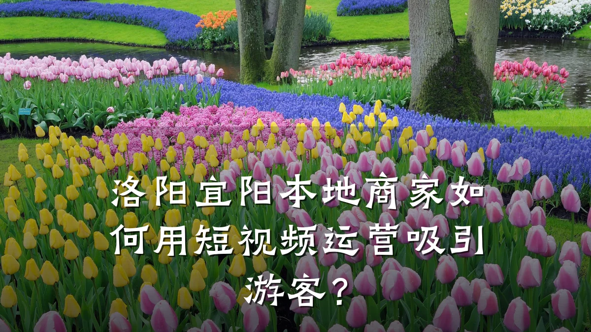 洛阳宜阳本地商家如何用短视频运营吸引游客?