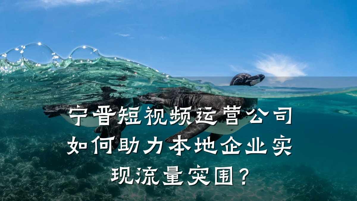 宁晋短视频运营公司如何助力本地企业实现流量突围?