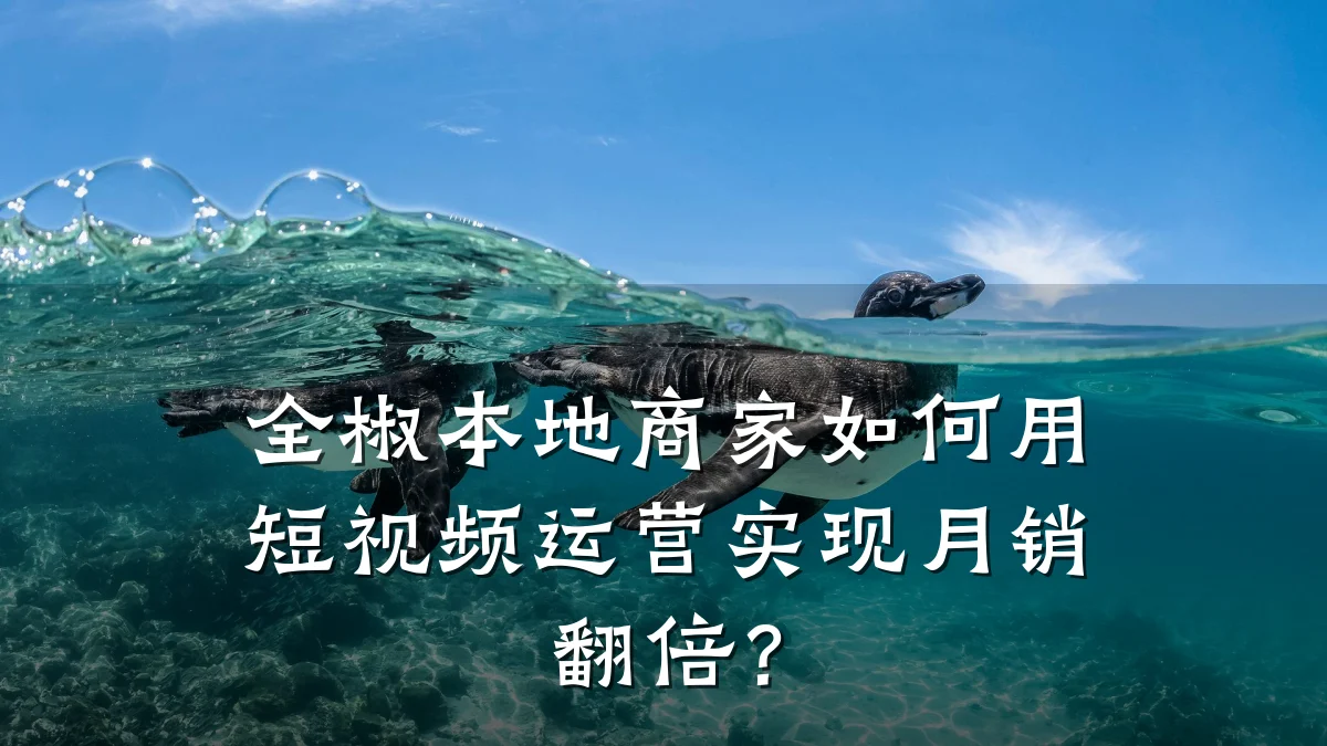 全椒本地商家如何用短视频运营实现月销翻倍?