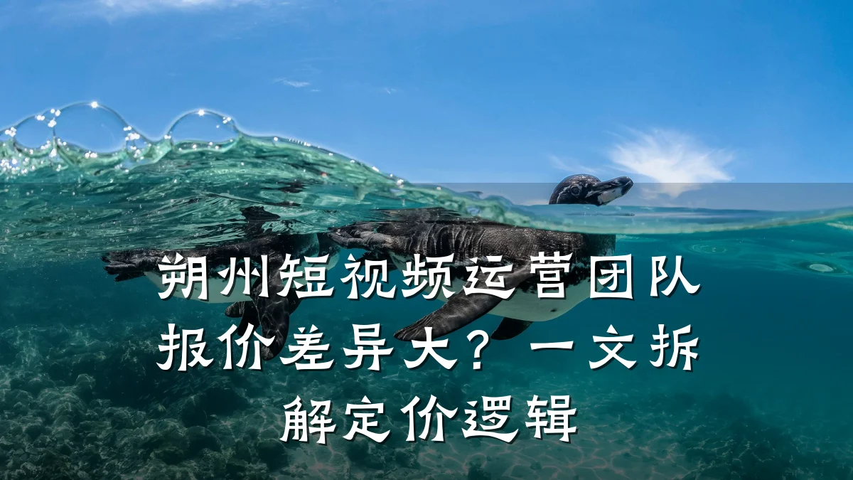朔州短视频运营团队报价差异大？一文拆解定价逻辑