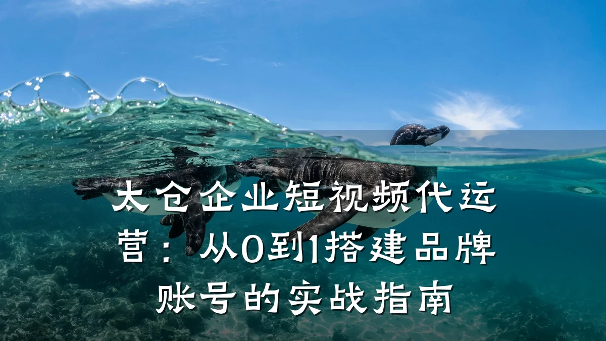 太仓企业短视频代运营:从0到1搭建品牌账号的实战指南