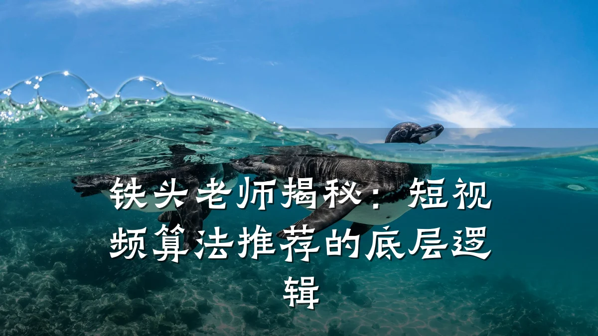 铁头老师揭秘：短视频算法推荐的底层逻辑