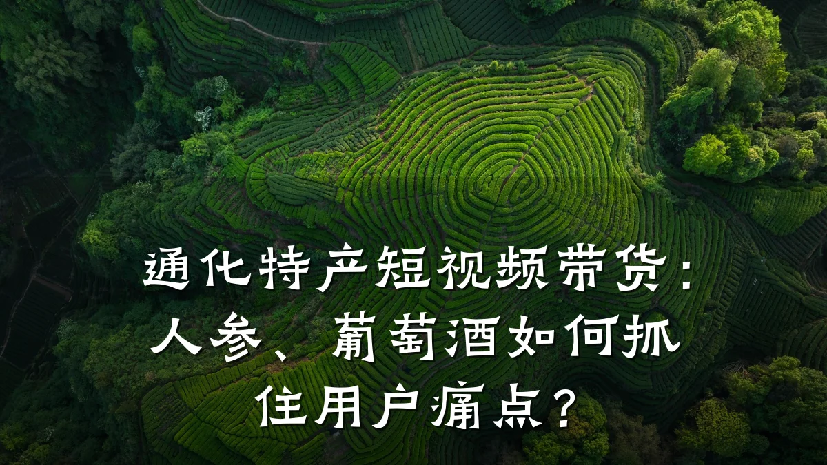 通化特产短视频带货:人参、葡萄酒如何抓住用户痛点?