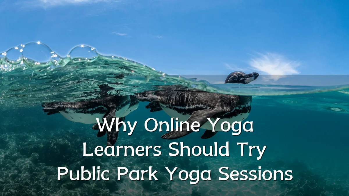 Why Online Yoga Learners Should Try Public Park Yoga Sessions
