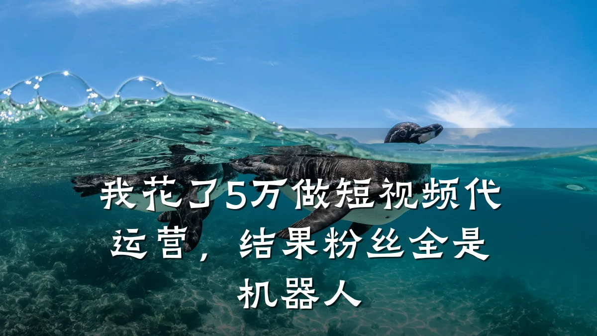 我花了5万做短视频代运营,结果粉丝全是机器人