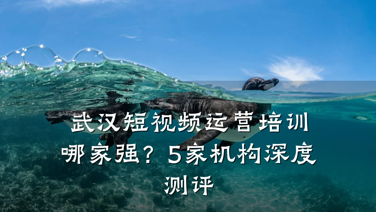 武汉短视频运营培训哪家强?5家机构深度测评
