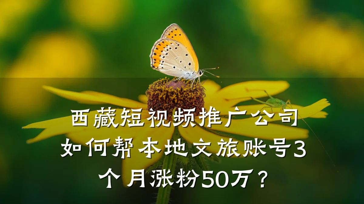 西藏短视频推广公司如何帮本地文旅账号3个月涨粉50万?