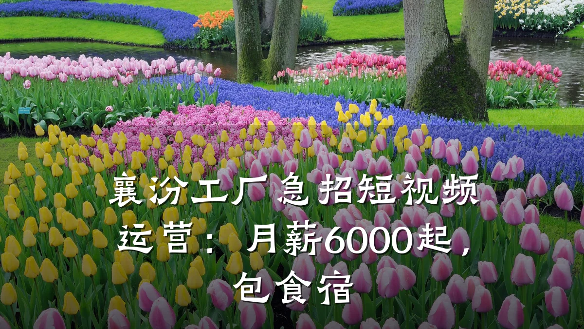 襄汾工厂急招短视频运营:月薪6000起,包食宿