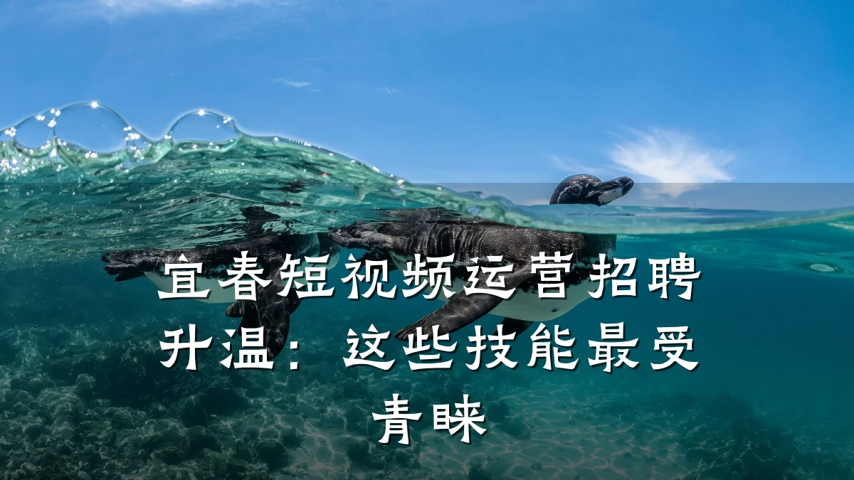 宜春短视频运营招聘升温:这些技能最受青睐