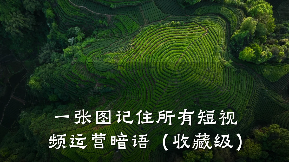 一张图记住所有短视频运营暗语(收藏级)