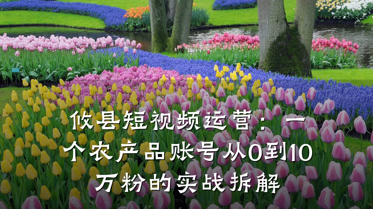 攸县短视频运营：一个农产品账号从0到10万粉的实战拆解