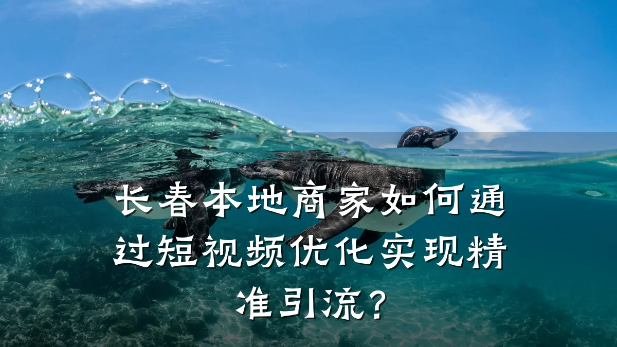 长春本地商家如何通过短视频优化实现精准引流?