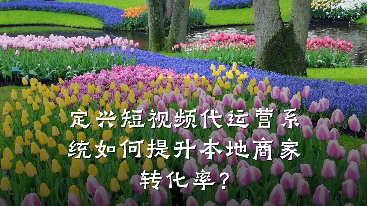 定兴短视频代运营系统如何提升本地商家转化率?