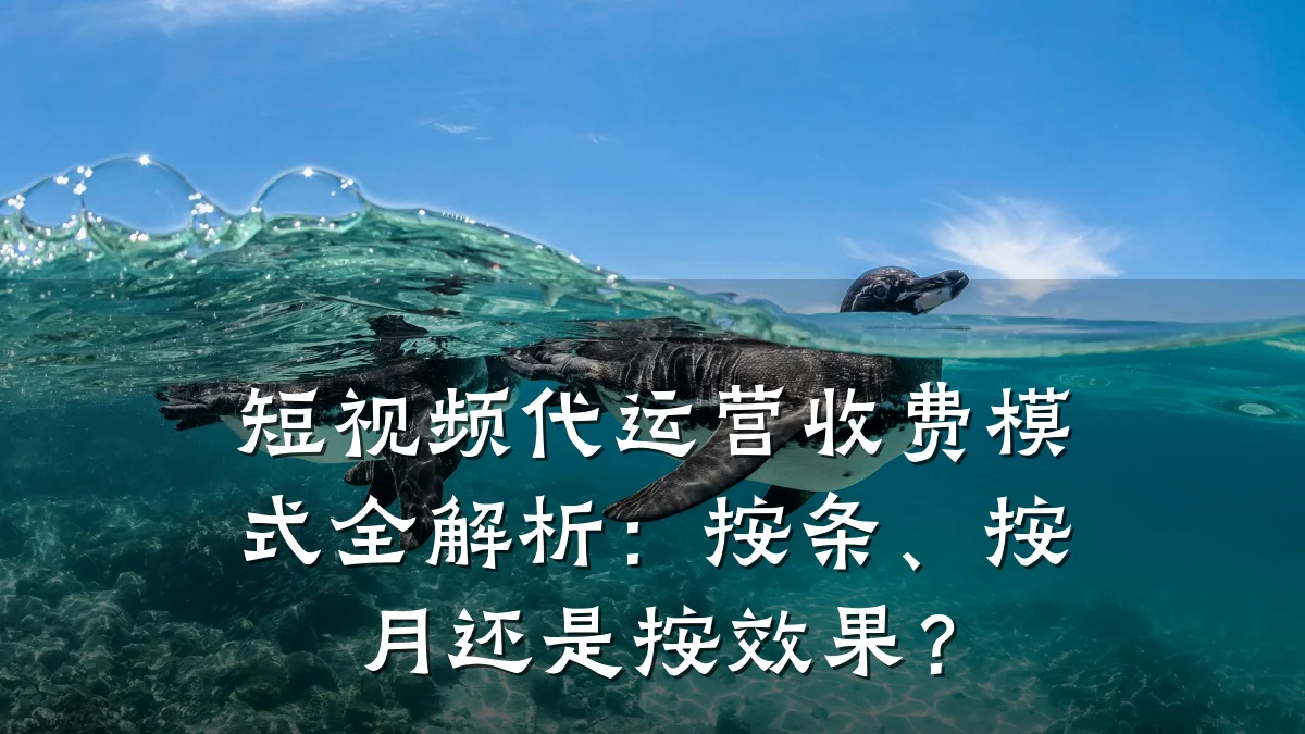 短视频代运营收费模式全解析:按条、按月还是按效果?