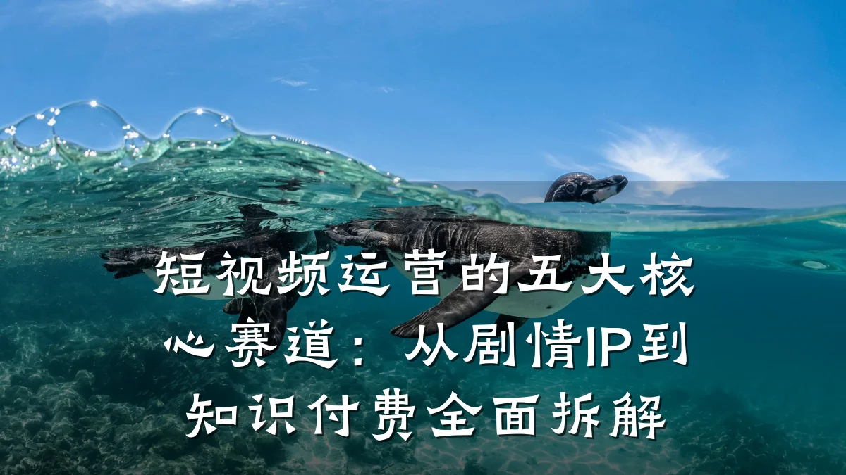 短视频运营的五大核心赛道:从剧情IP到知识付费全面拆解